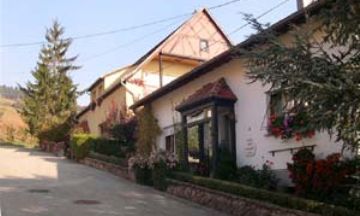 Bergheim, Alsace, Vacation Rental Condo