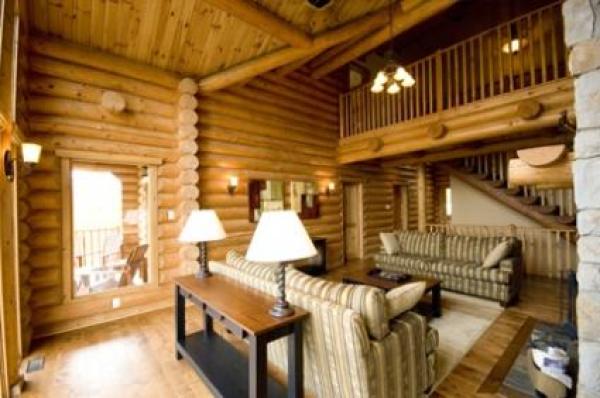 Living  Area 