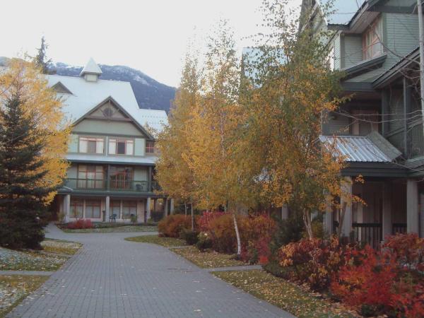 Fall Day