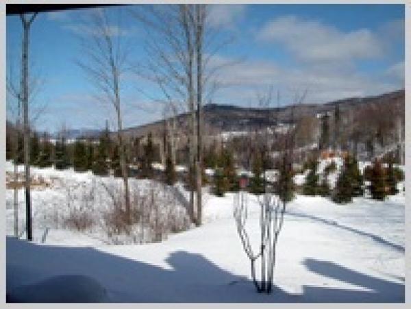 Snow View