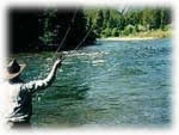 Fly Fishing