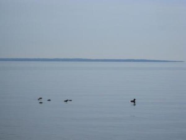 Panoramic View of the Sea