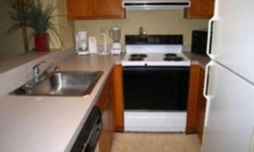 Isle of Palms, South Carolina, Vacation Rental Condo