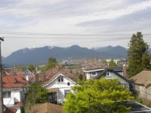 View from Bedroom Window