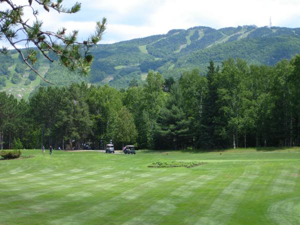 Golf View