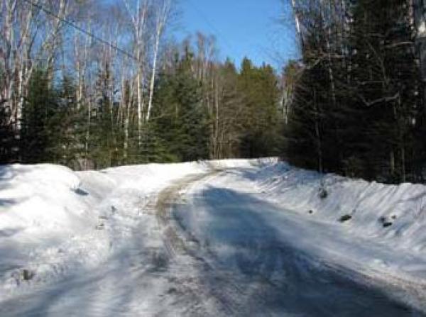 Area Surrounding the Chalet