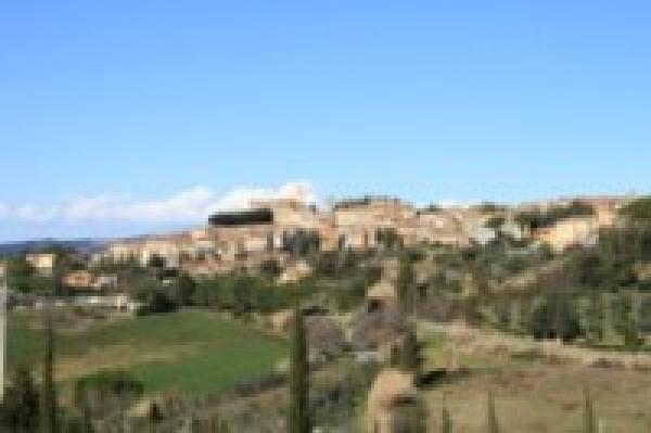 Montescudaio