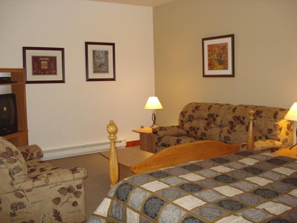 Bedroom 2. Queen size bed and sofa bed.