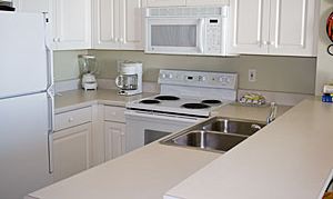 Miramar Beach, Florida, Vacation Rental Condo