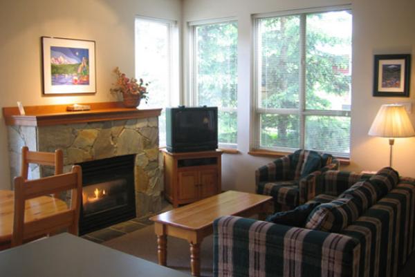 Living Room with Fire place