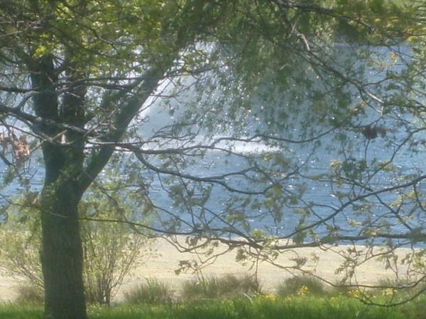 Nice lake with fountain