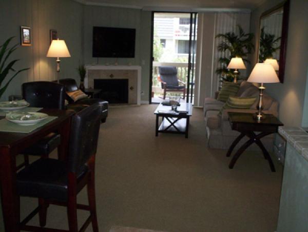 Living  Area