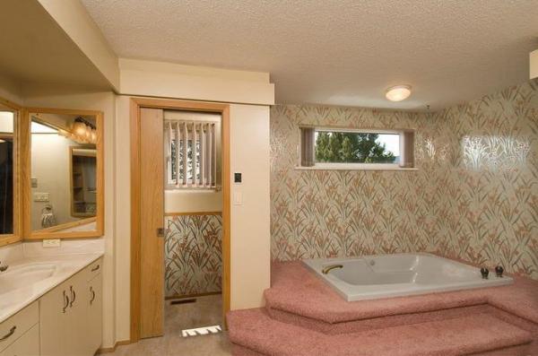 Master Bathroom w/ Jetted Tub