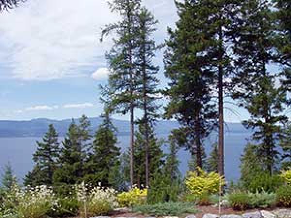 View from porch