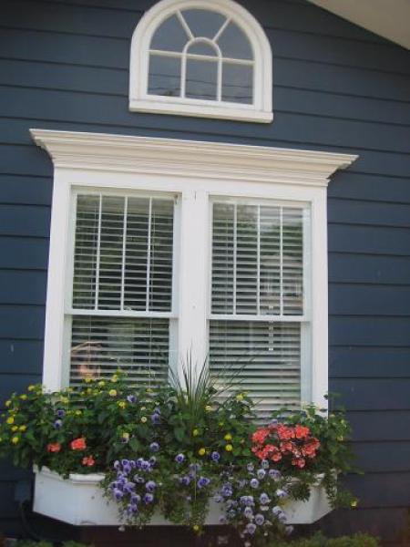 Window