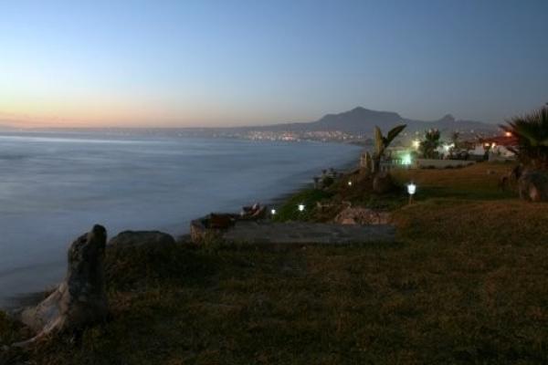 Night Life in the Bay