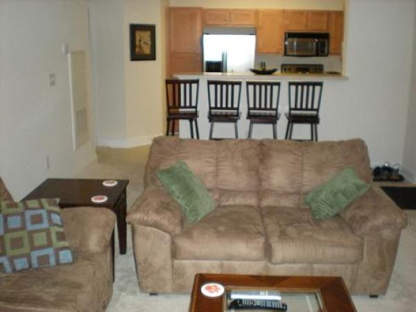 Living Room with Kitchen
