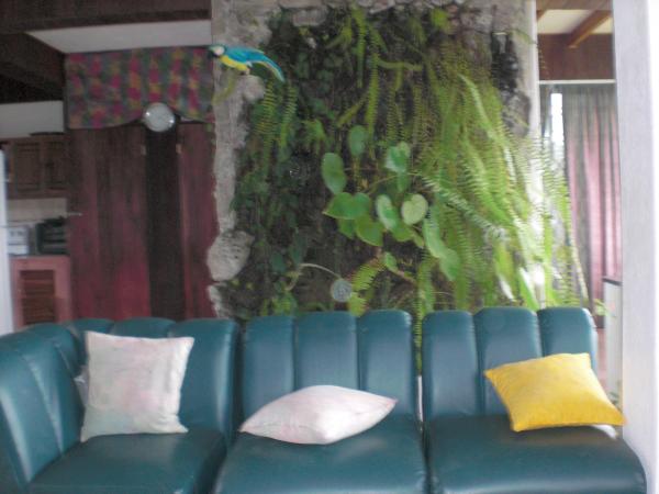 Living Wall in Downstairs Living