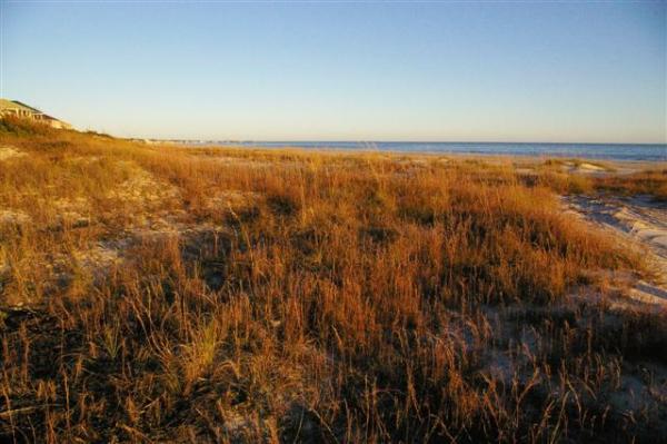 Beach View East
