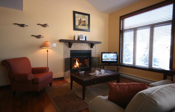 ving room with wood fireplace and sofa bed	