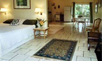 Kihei, Hawaii, Vacation Rental Condo
