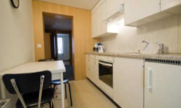 Meiringen, Berne, Vacation Rental Condo