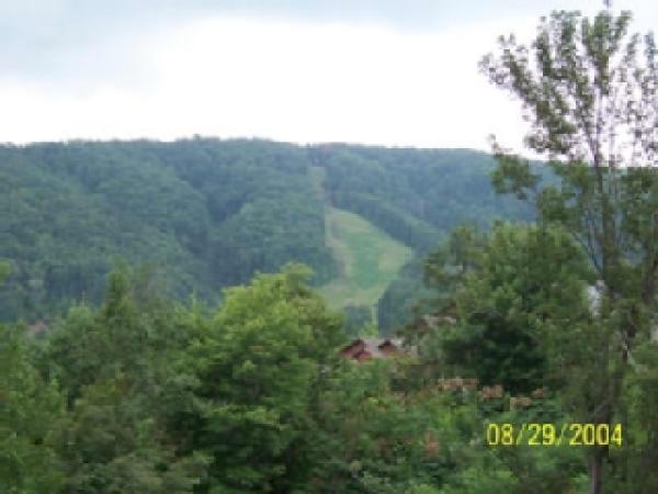 Gatlinburg Mountain View