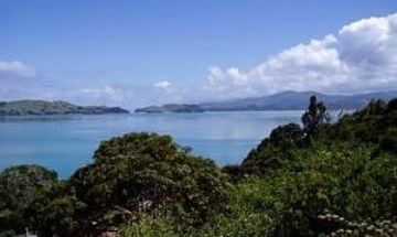 Coromandel, Waikato, Vacation Rental House